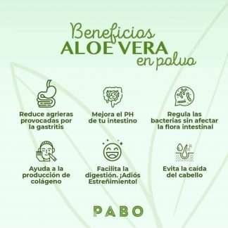 Beneficios Aloe vera en polvo 60gr - Pabo